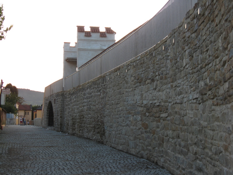 pam_rok_2009_2