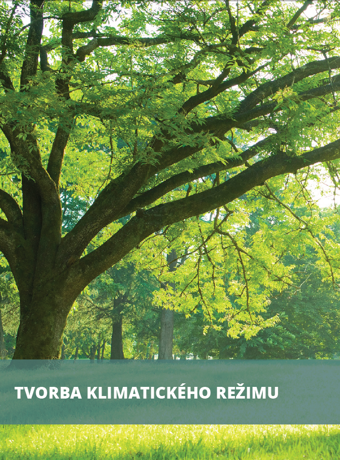 Akčný plán - fotogaléria